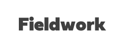 Fieldwork 08 Geo Fat DEMO字体