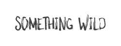 something wild字体