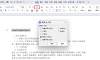 Word文本编辑快捷操作分享：快速更换大小写，添加带圈字符、字符边框