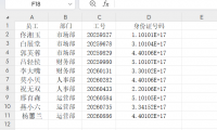 Excel如何正确录入身份证号码？4个实用方法分享