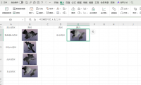 Excel表中如何实现图片查询?分享两种超实用的方法