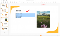 为什么你的PPT缺少条理？试试这样使用编号功能！