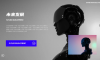 PPT画中画怎么设置？小白也能秒会的实用技巧分享