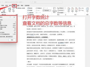 word怎么看字数?word字数统计避坑及解答